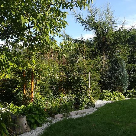 Zagroda Podlas - Gospodarstwo Agroturystyczne Aleksandrow k Bilgoraja المظهر الخارجي الصورة