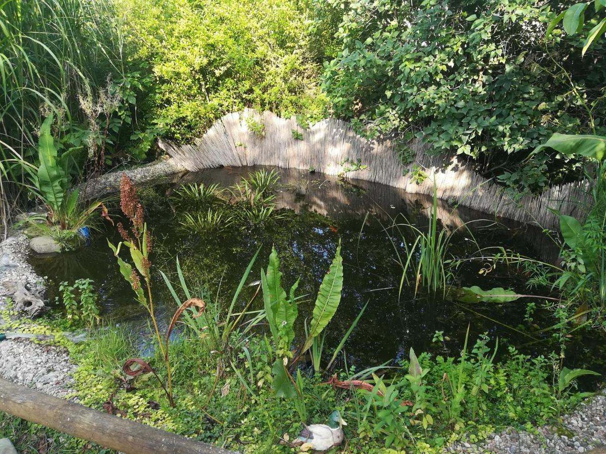 Zagroda Podlas - Gospodarstwo Agroturystyczne Aleksandrow k Bilgoraja المظهر الخارجي الصورة