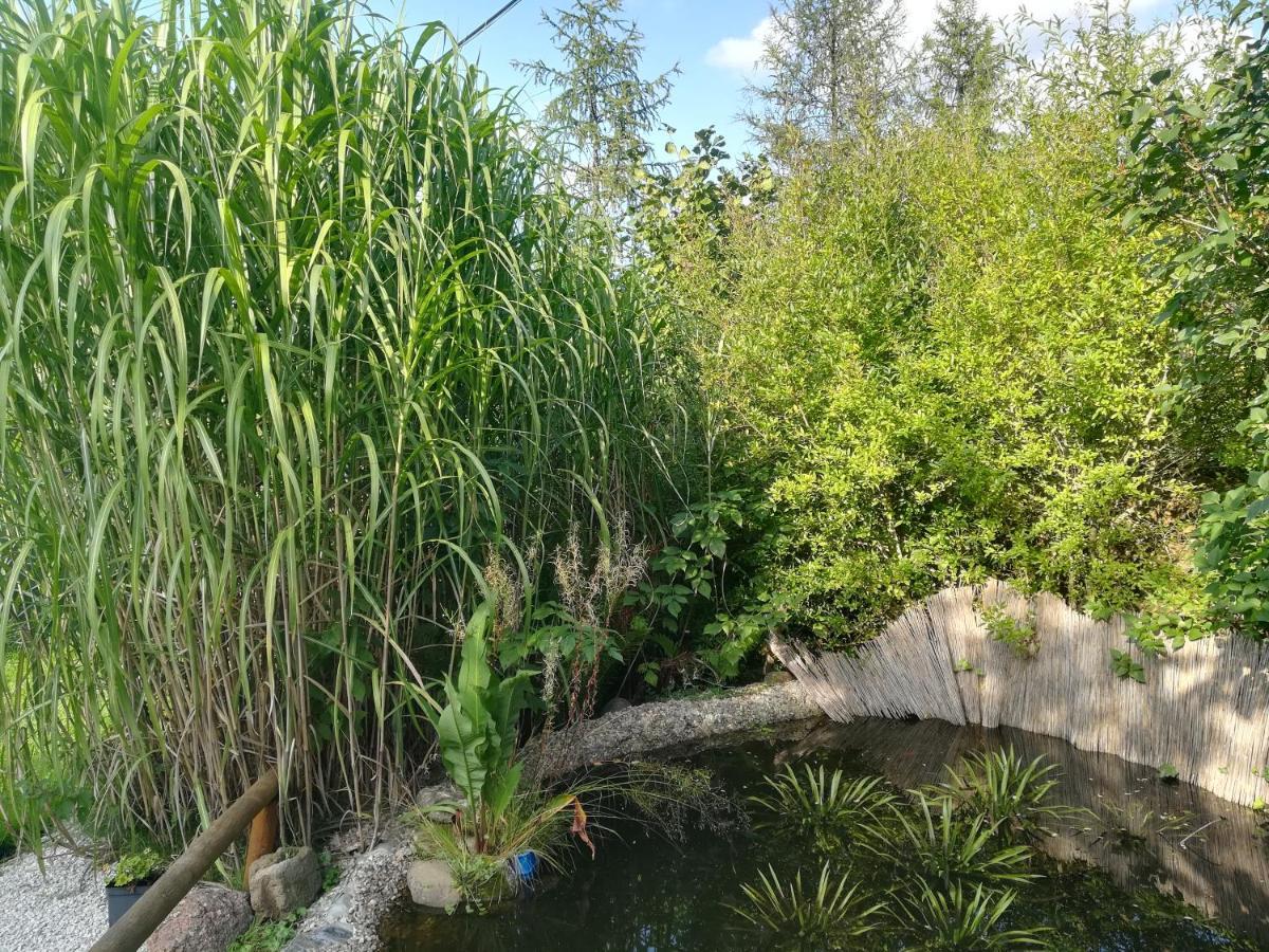 Zagroda Podlas - Gospodarstwo Agroturystyczne Aleksandrow k Bilgoraja المظهر الخارجي الصورة