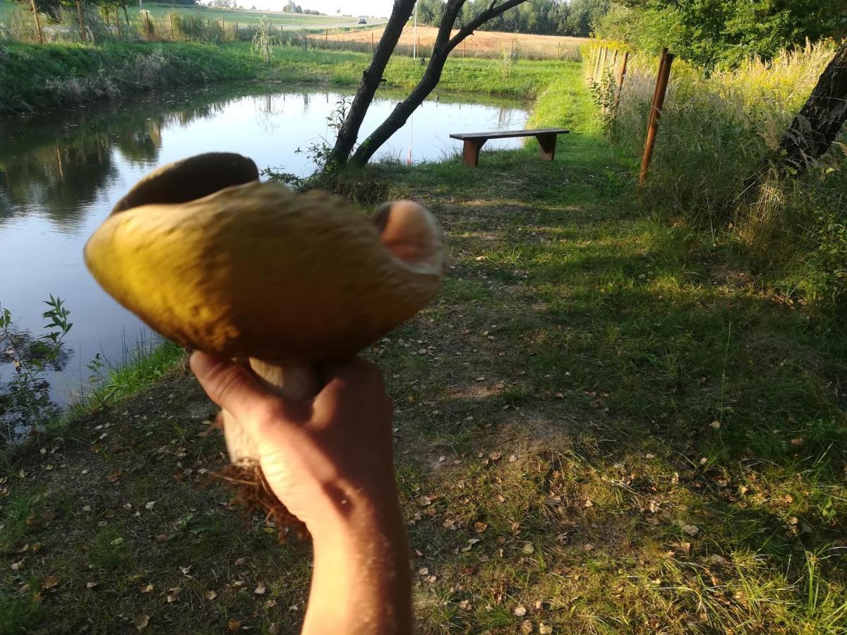 Zagroda Podlas - Gospodarstwo Agroturystyczne Aleksandrow k Bilgoraja المظهر الخارجي الصورة