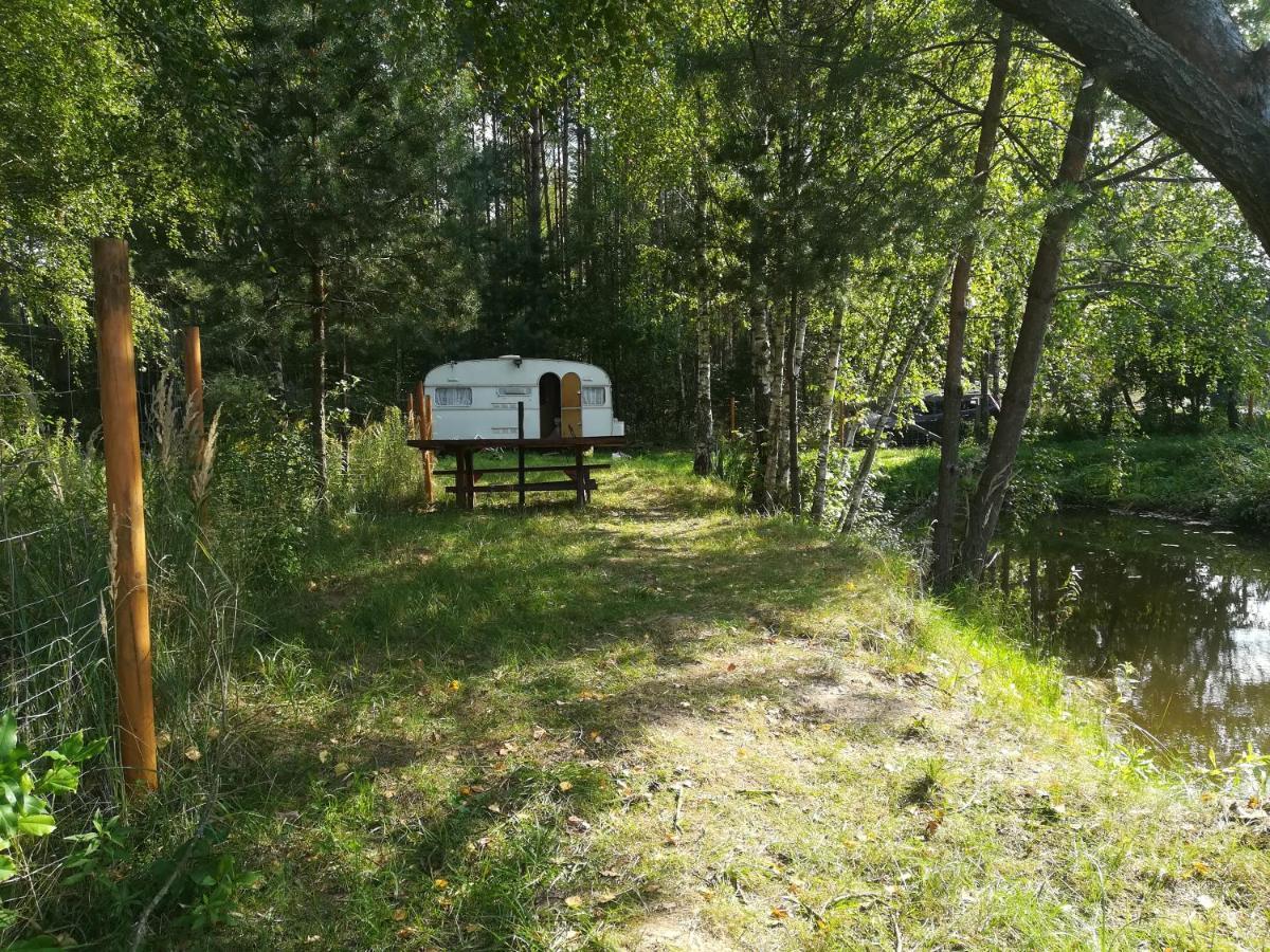 Zagroda Podlas - Gospodarstwo Agroturystyczne Aleksandrow k Bilgoraja المظهر الخارجي الصورة